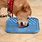 Masage Mat for Dogs