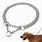 Metal Chain Dog Collars