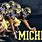 Michigan Wolverines Football Pictures