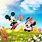 Minnie Mouse Spring Wallpaper