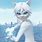 Miraculous Ladybug Cat Blanc