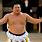 Mongolian Sumo Wrestler