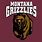Montana Grizzlies Basketball