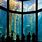 Monterey California Aquarium