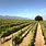 Monterey Vineyards