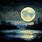 Moonlight Oil Paintings