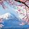 Mount Fuji and Cherry Blossom