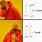 Multivariable Calculus Memes