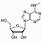 N6-Methyladenosine