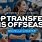 NCAA Volleyball D1 Transfers