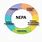 NEPA IIA Logo