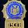 NYPD Police Badge