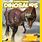 National Geographic Kids Dinosaurs