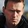 Navalny Wikipedia
