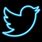 Neon Twitter Logo