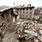 Nepal Earthquake Pictures