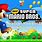 New Super Mario Bros DS Gameplay