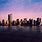 New York Skyline 1999
