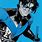 Nightwing Cover