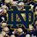 Notre Dame Football Background