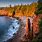 Ocean Path Acadia National Park