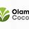 Olam Cocoa