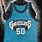 Old Grizzlies Jersey
