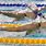 Olympic Swimming Sport