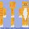 Orange Cat Minecraft Skin