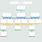 Organizational Blank Flow Chart Template