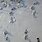 Otter Footprints