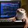 Otter Laptop