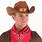 Outlaw Cowboy Hat