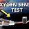 Oxygen Sensor Test
