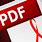 PDF File Viewer