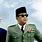 Pahlawan Soekarno