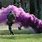 Paintball Smoke Grenade