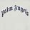 Palm Angels Curved Logo