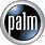 Palm Logo.png