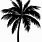 Palm Tree Line