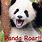 Panda Bear Roar