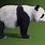 Panda Side Profile