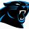 Panthers New Logo