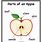 Parts of an Apple Worksheet