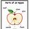 Parts of an Apple for Kids