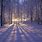 Peaceful Winter Background