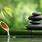 Peaceful Zen Desktop Wallpaper