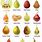 Pear Species