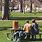 People Sitting at Picnic Table