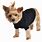 Pet Sweaters for Small Dogs